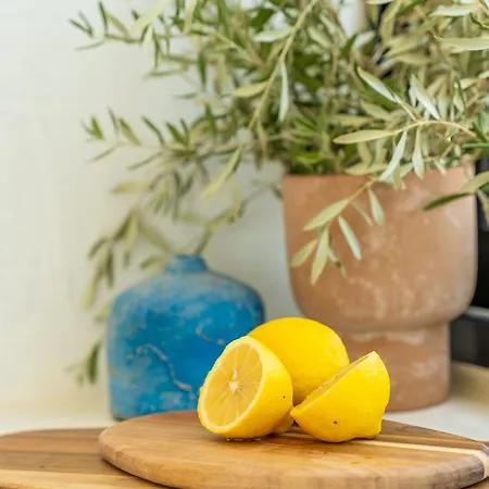 Nero Lefkada فيلة *